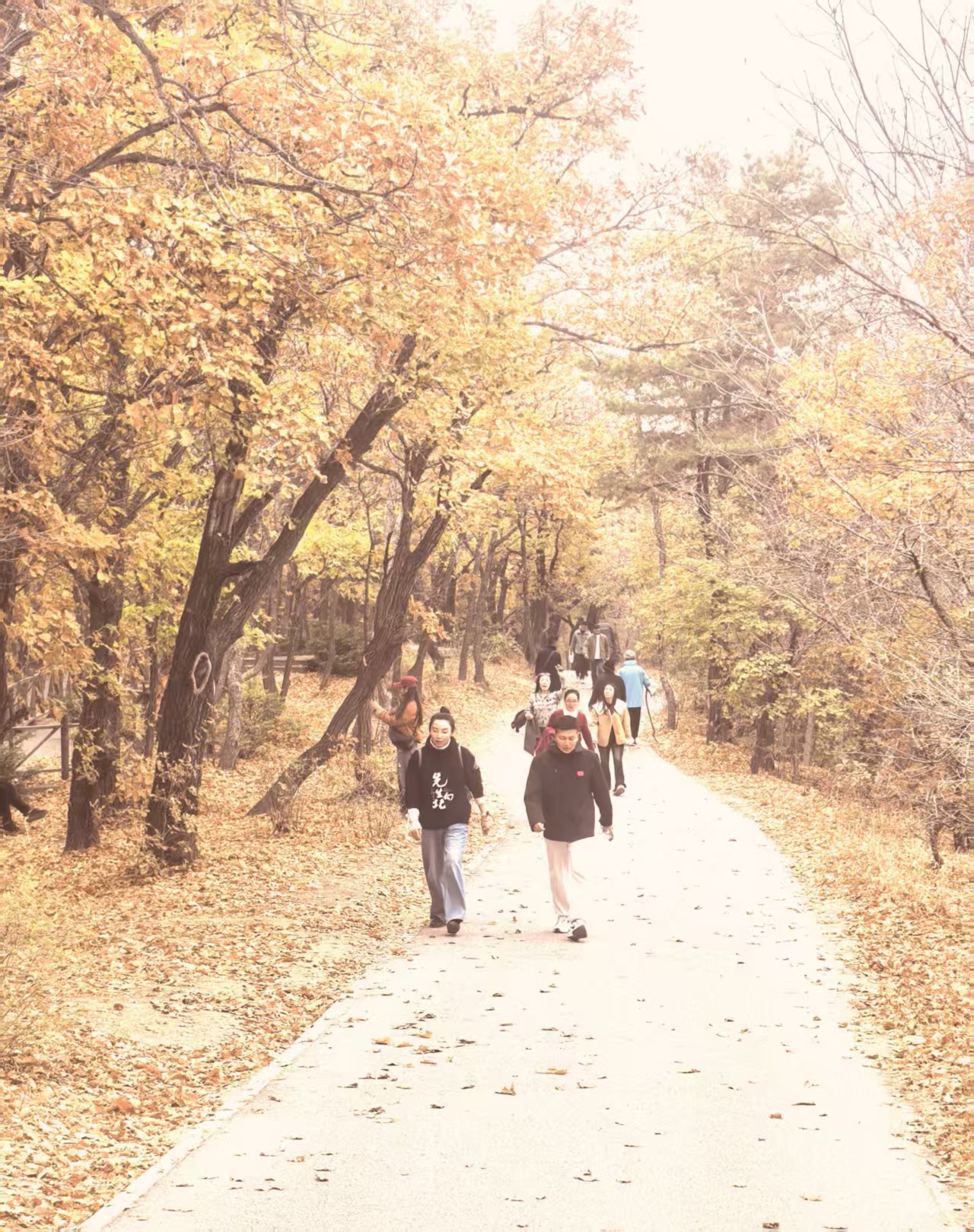 1ff7c16f20adb2ba13c256605a7092cd